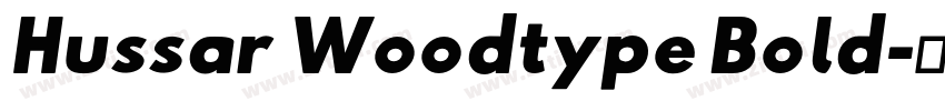 Hussar Woodtype Bold字体转换